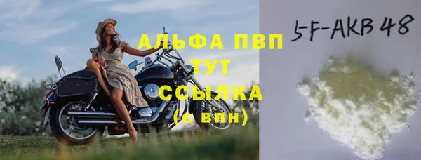 стаф Богданович